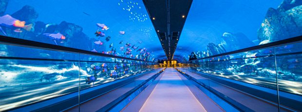 TheLED cria o maior túnel de LED do mundo com instalação fixa
