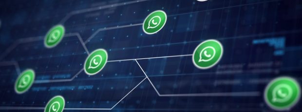 Novos recursos do WhatsApp para seu negócio